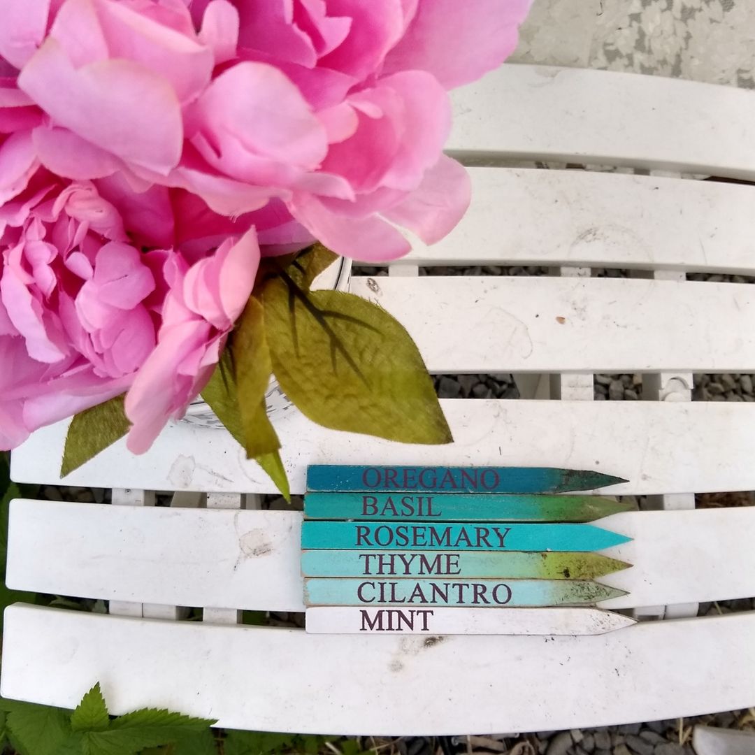 No photo description available.